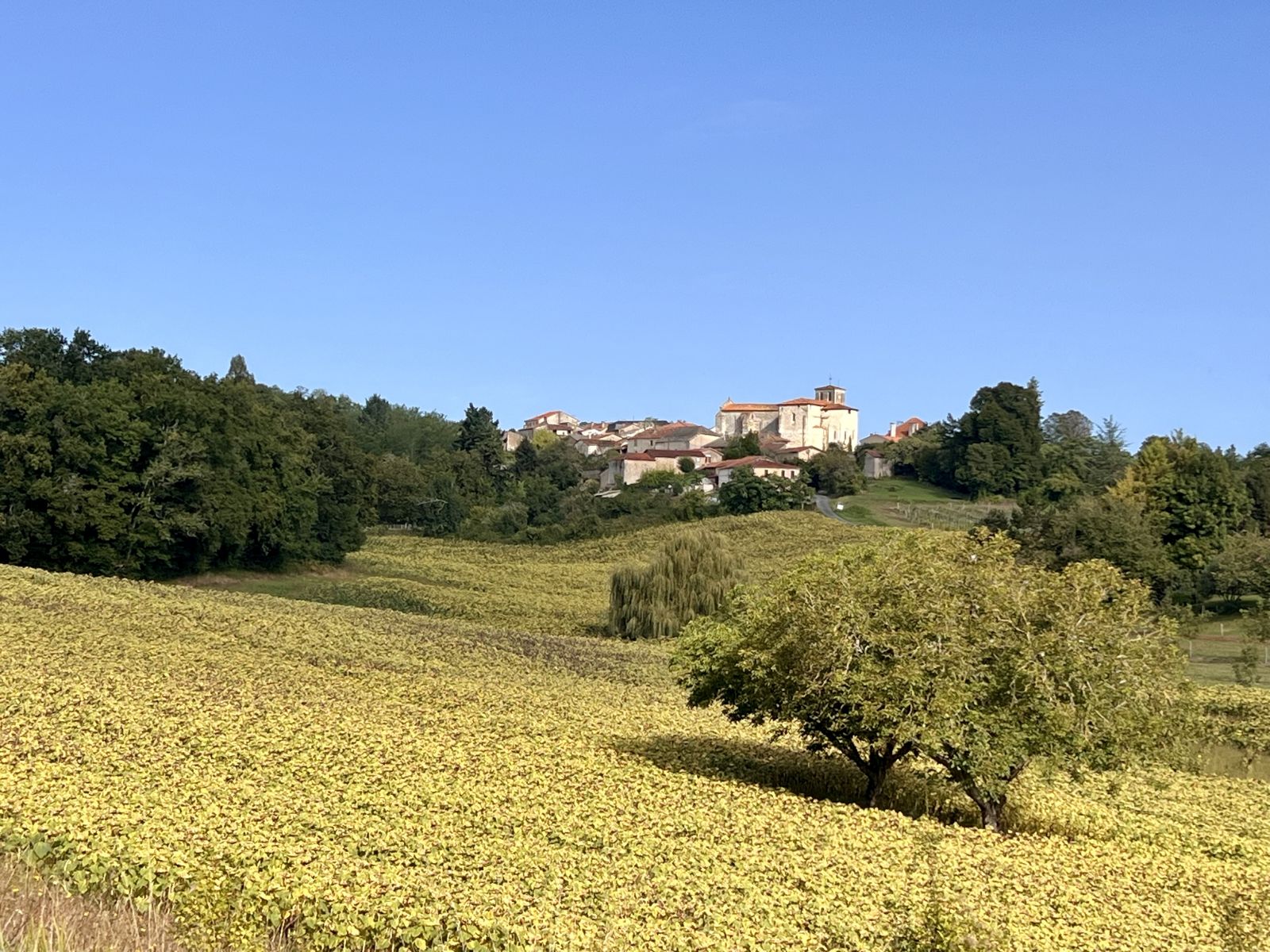 Village de Brossac