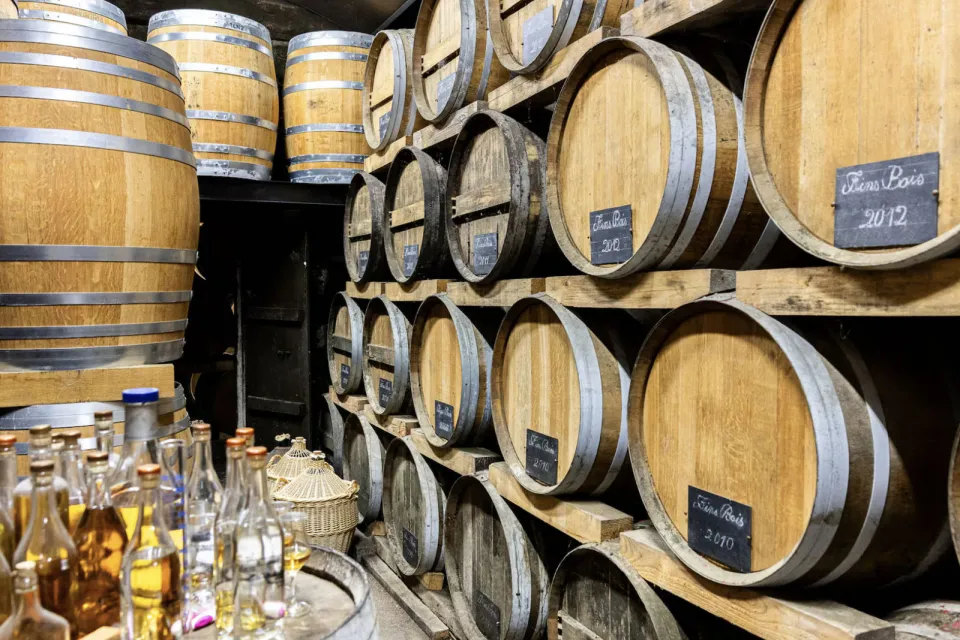 Visite de distillerie et vignoble près de Jarn ...