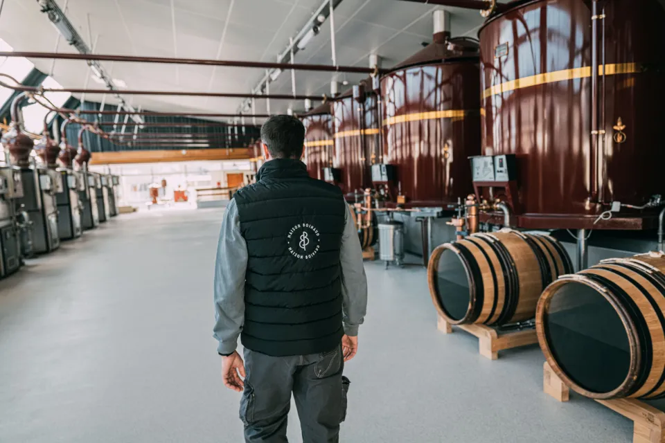 Découvrez les étapes d’élaboration du cognac à ...