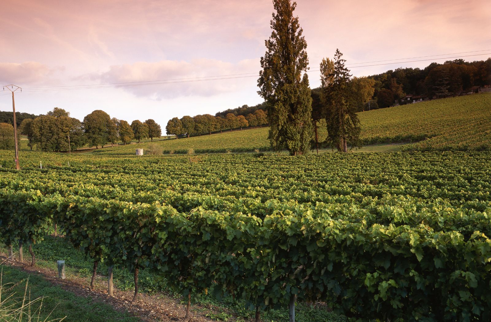 Que faire en Charente en automne ?