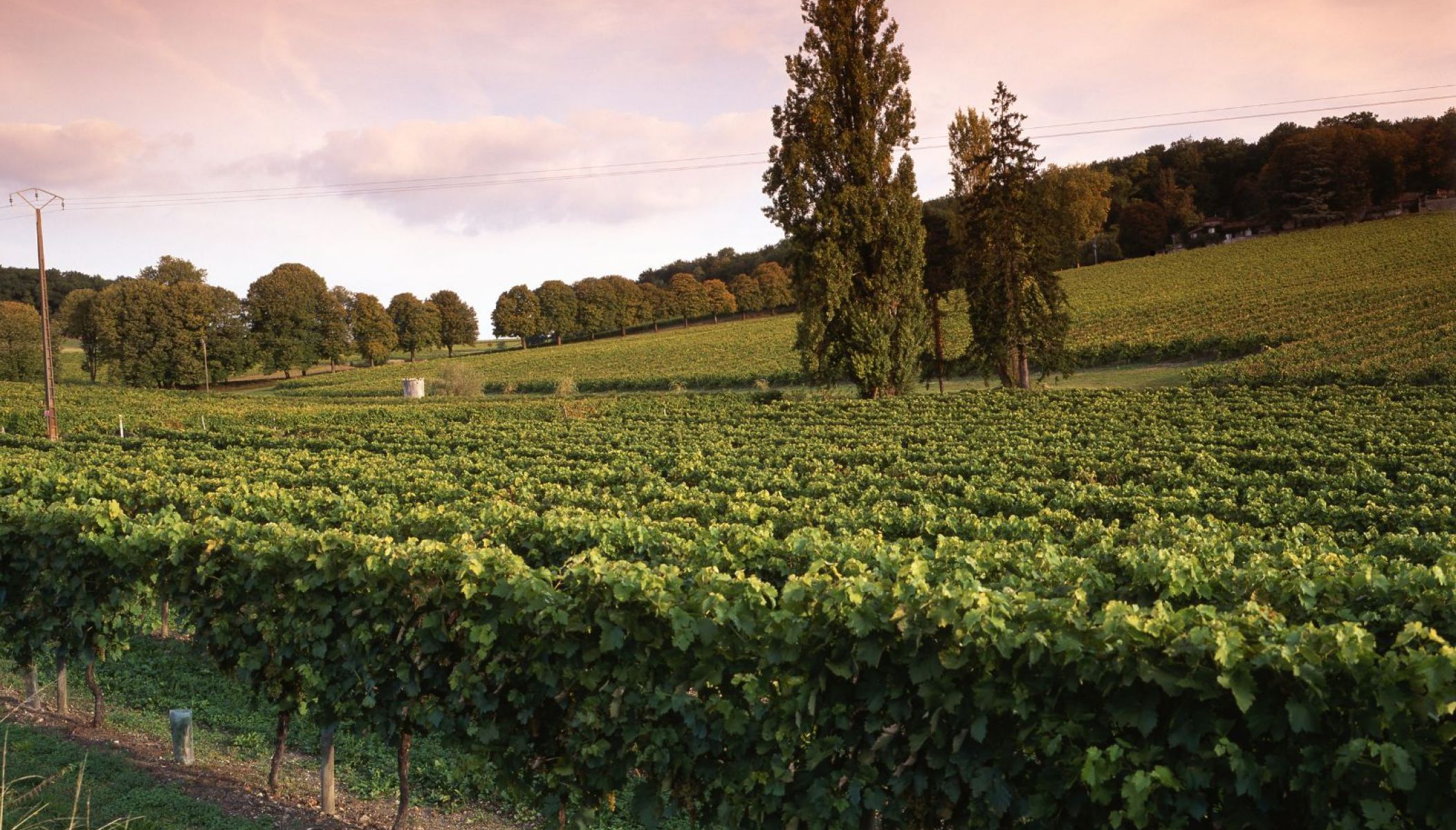 Que faire en Charente en automne ?