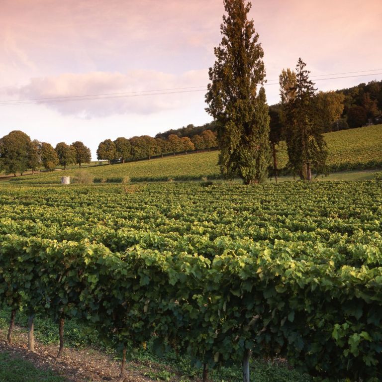 Que faire en Charente en automne ?